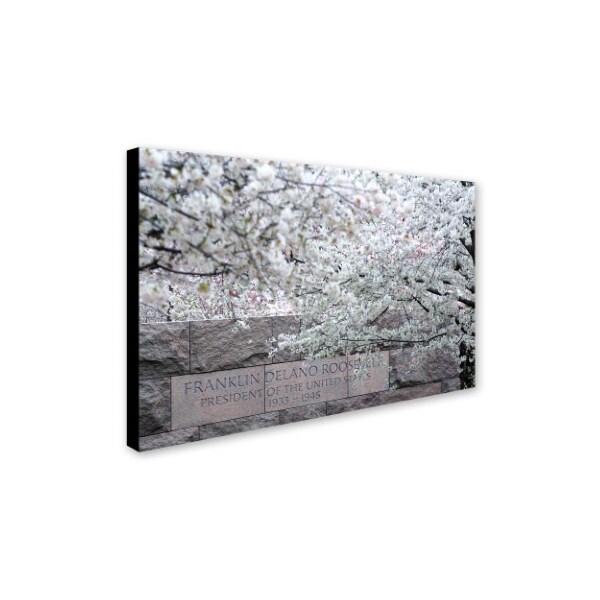 CATeyes 'Cherry Blossoms 2014-4' Canvas Art,16x24